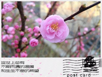 春