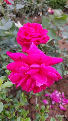 如此春色，豈可辜負(fù)。