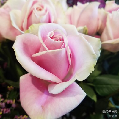 三星S7-歲月靜好