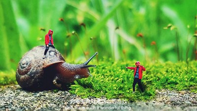 簡(jiǎn)單說(shuō)下如何拍迷你世界的照片