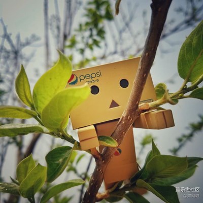 張小盒的眼里究竟是憂傷還是渴望