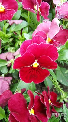 其實(shí)美就在你身邊