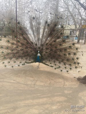 又拍老A5隨手照