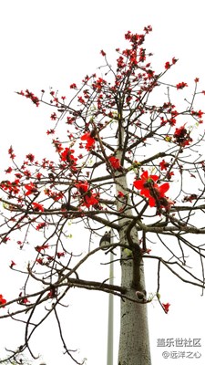 廣州119屆廣交會