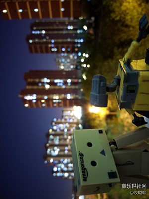 有你在哪里都是風(fēng)景