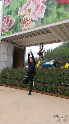 愛(ài)不一樣 夜游精靈