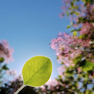 【春妝】+北京+我和春天有個約會