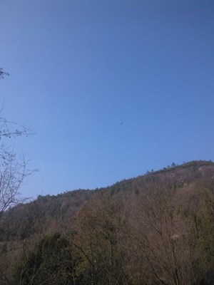 藍(lán)色的天空