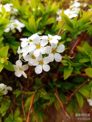 【春妝】+錦州遼沈戰(zhàn)役紀(jì)念館+紀(jì)念館中的春天