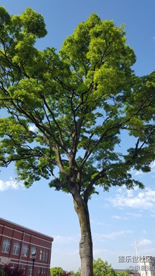 【春妝】桐城，龍眠的春色