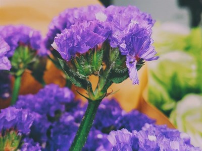 花的姿態(tài)-三星S7