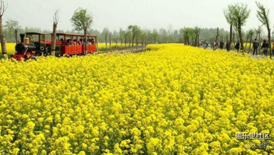 永遠(yuǎn)的小火車