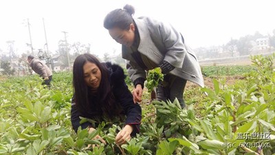 農(nóng)村里的樂趣