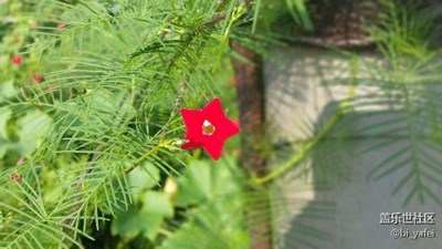 隨手拍，純原生