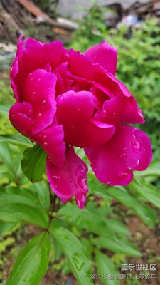 S7隨手拍的。。。