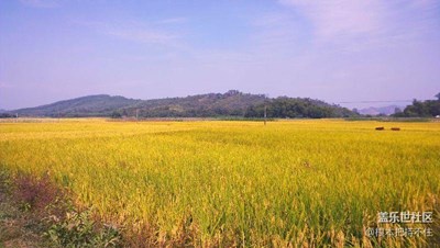 諾基亞出品，粵鄉(xiāng)風(fēng)情