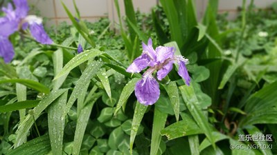 老機(jī)note4依舊寶刀未老啊