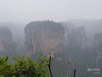 阿凡達(dá)呀阿凡達(dá)