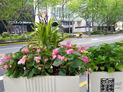 都市清晨。