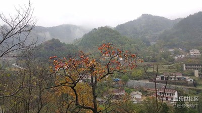 第一次發(fā)帖，混臉熟