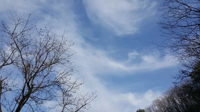 牛五的隨拍，不遜色單反的效果