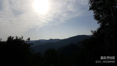 清晨慢跑的遇見(jiàn)