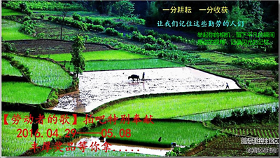 迎”五.一”拍吧特別活動.暨攝影周賽活動第五期