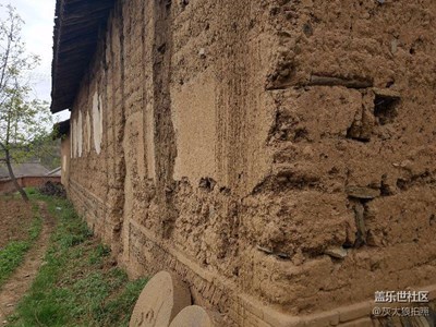 這里的春天也奔放