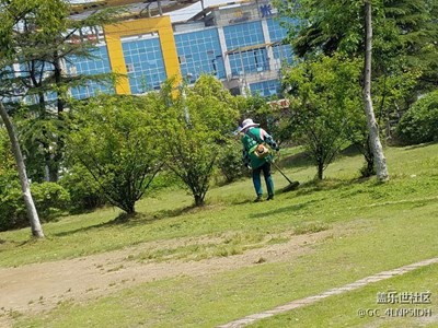 【勞動(dòng)者的歌】+合肥+園林美容師