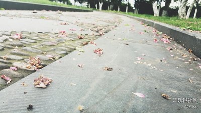 城市中的一片靜土