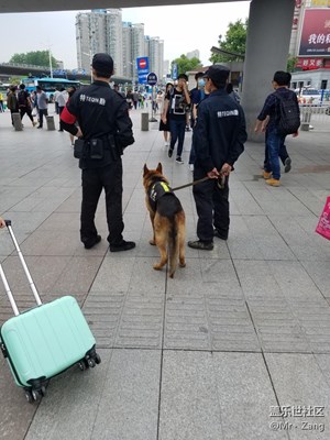 【勞動(dòng)者的歌】+南京+*叔叔和人類最好的朋友