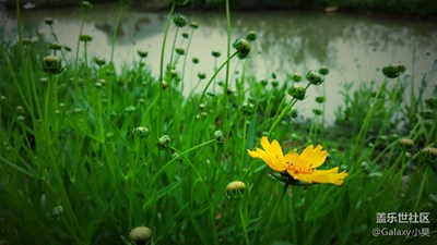 留住剎那，珍惜剎那