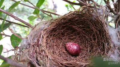 不知道為什么只剩一個了