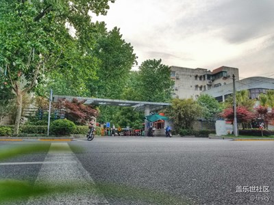 老小區(qū)也有好風(fēng)景！