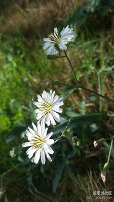 小小角落 愛不一樣