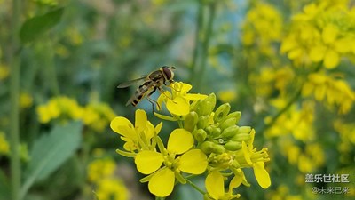 極速對(duì)焦，抓拍。