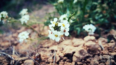 無聊的人遇見無聊的環(huán)境