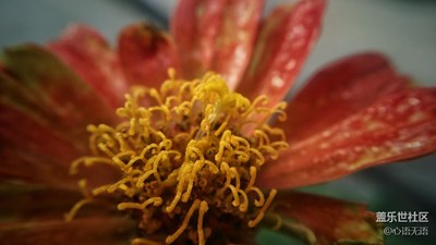 喜歡拍照，就這樣用手機拍照！