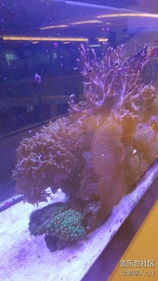 好久沒有來了。