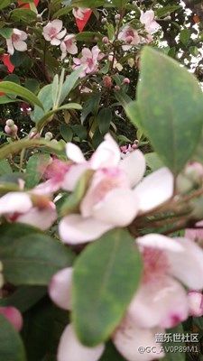 隨便拍，怎么樣？