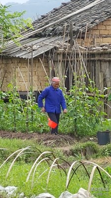 【勞動(dòng)者的歌】+贛州+媽媽是一幅勞作的畫（12）