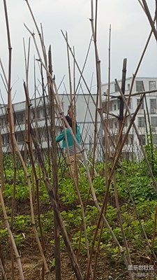 【勞動者的歌】+贛州+媽媽是一幅勞作的畫（13）