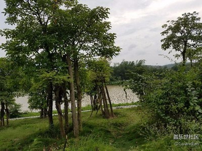 水波紋