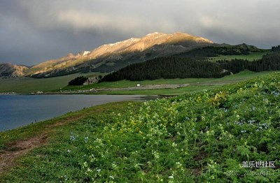 賽里木湖的春天
