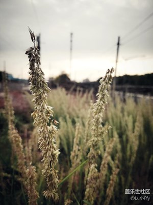 我與s7 E 的日常