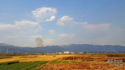 收割的季節(jié)，宛如油畫