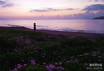 面朝大海