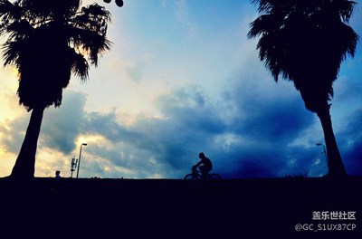 廈門環(huán)島路