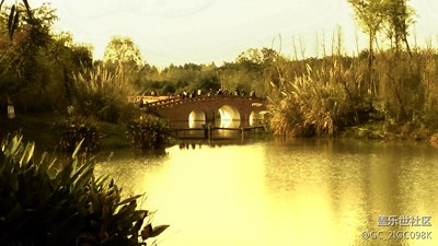 荻花? 秋水? 虹橋