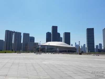 天氣不錯，再次出去喂海鷗。